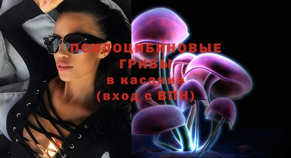 PSILOCYBIN Кинешма