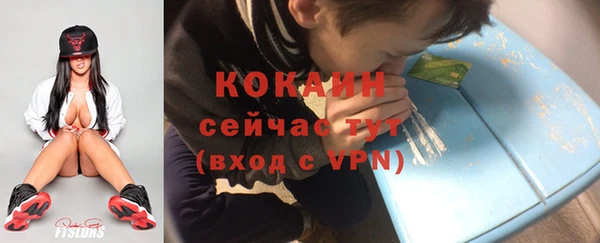 бошки Краснослободск