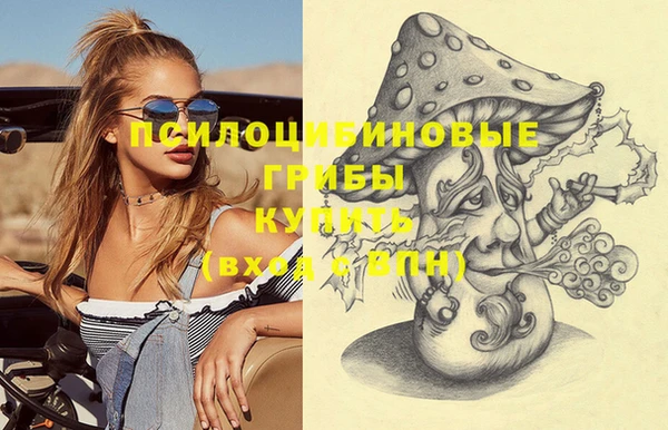 Альфа ПВП Кодинск