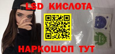 крисы Камышлов