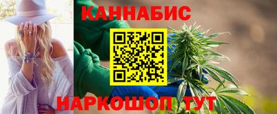 крисы Камышлов