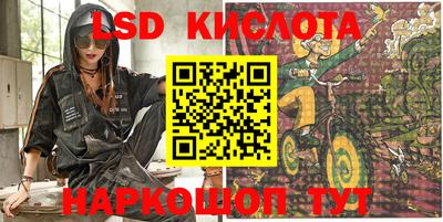 крисы Камышлов