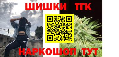крисы Камышлов