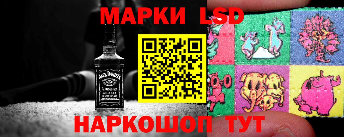 Псилоцибиновые грибы Курчатов