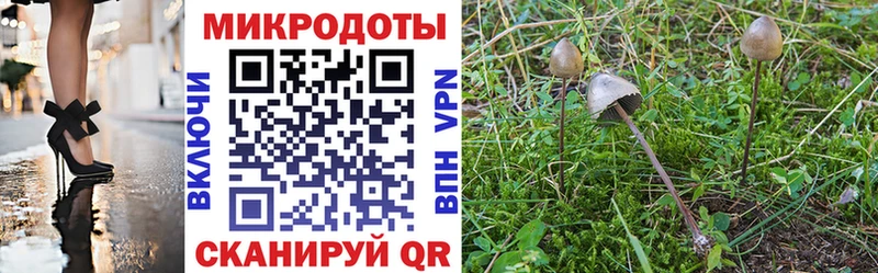 mega сайт  Курчатов  Псилоцибиновые грибы ЛСД 