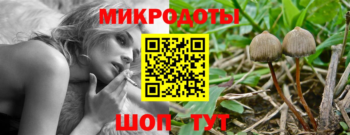 Галлюциногенные грибы Psilocybe  Вход с VPN  Курчатов 