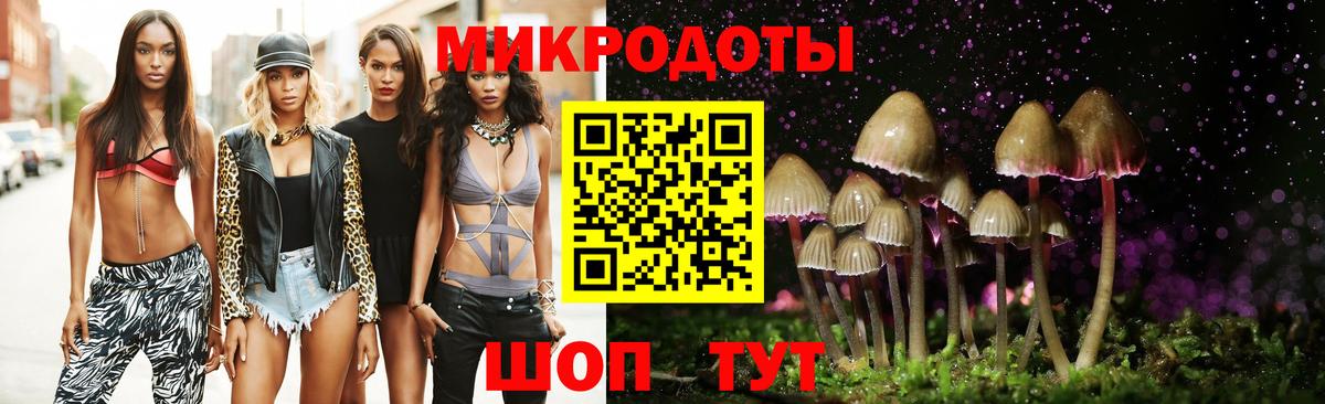 Псилоцибиновые грибы мухоморы Курчатов